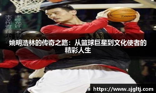 姚明浩林的传奇之路：从篮球巨星到文化使者的精彩人生