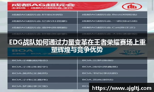 EDG战队如何通过力量变革在王者荣耀赛场上重塑辉煌与竞争优势