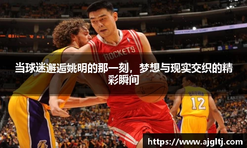 当球迷邂逅姚明的那一刻，梦想与现实交织的精彩瞬间